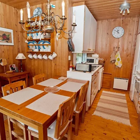 Tatil Evi Valkeisrinne M1 By Interhome Ruka